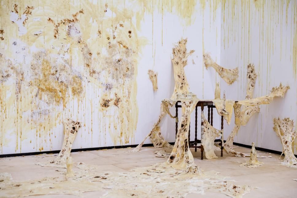 年度奖：钱宁越作品